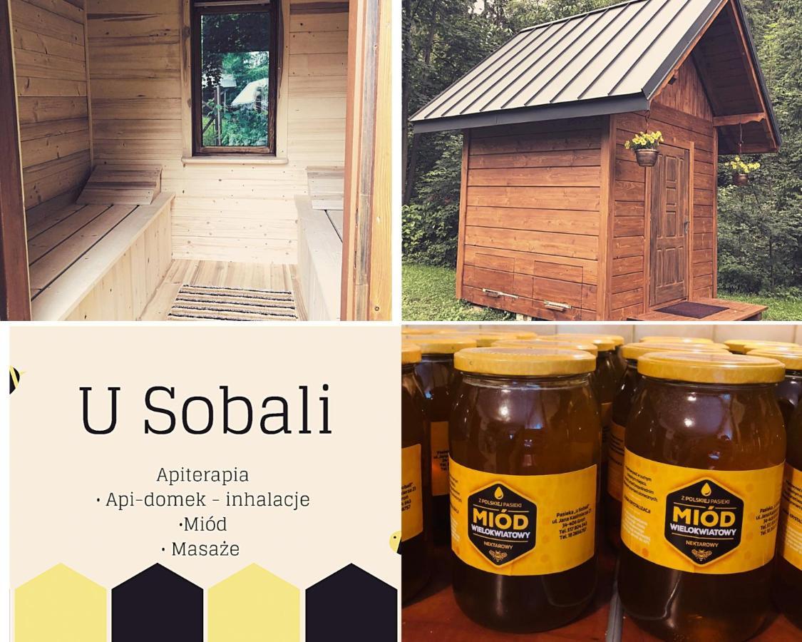 Вілла U Sobali Ґронь Екстер'єр фото